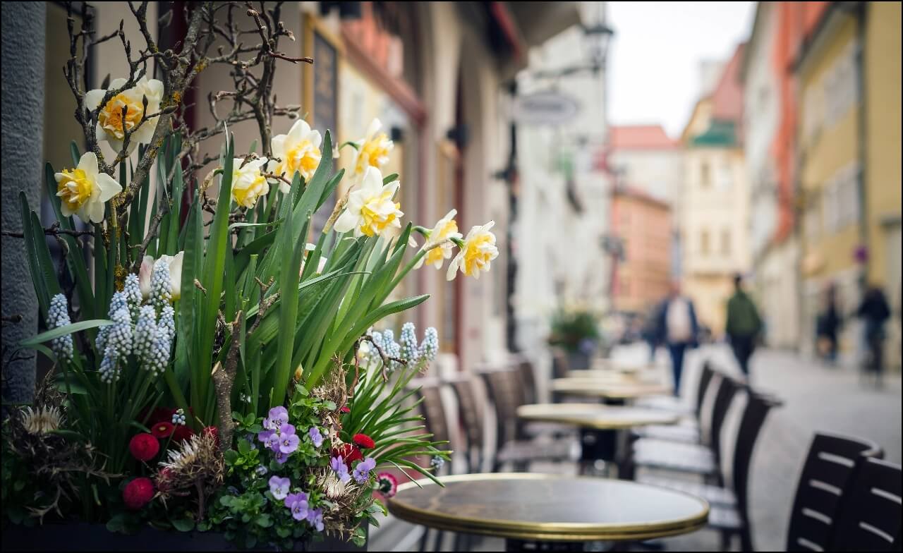 Aussenbereich - Chin Chin Regensburg